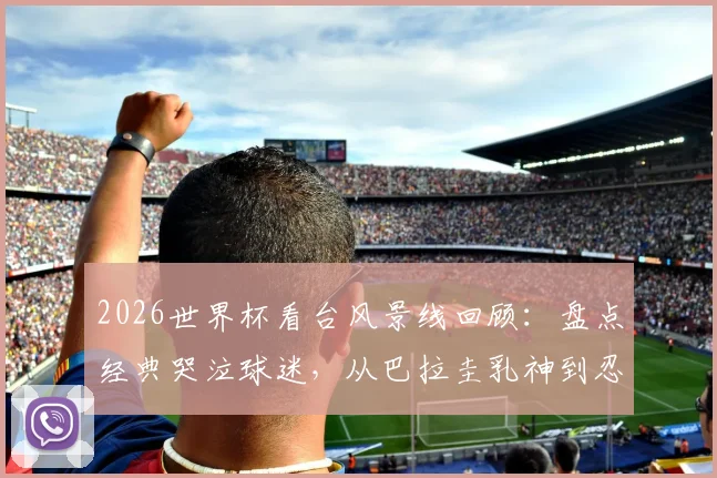 2026世界杯看台风景线回顾：盘点经典哭泣球迷，从巴拉圭乳神到忍者神龟装扮解析